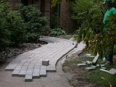 Paver walk under construction — Cutting and setting a curved paver walkway through an established planting bed.