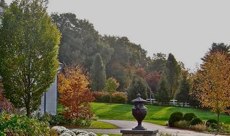 A mature formal landscape in autumn colour, installed and maintained by Quality Landscape