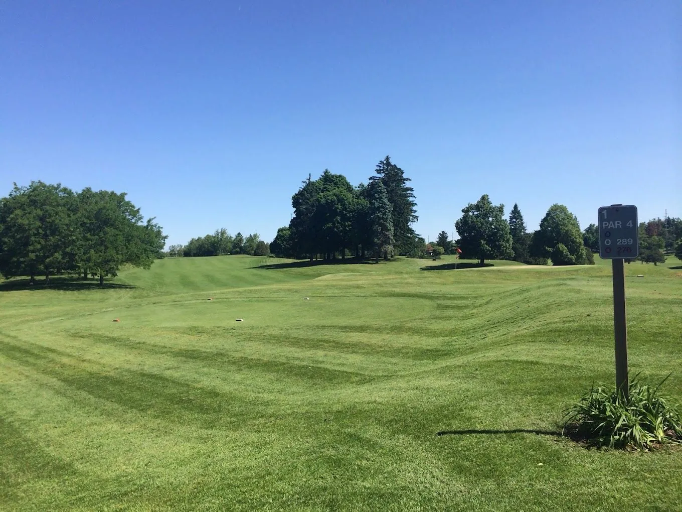 A fairway at the Player's Club Golf Course, a 60-acre course installed in its entirety by Quality Landscape