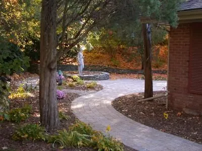 A finished paver walkway curving around a mature tree to a brick home