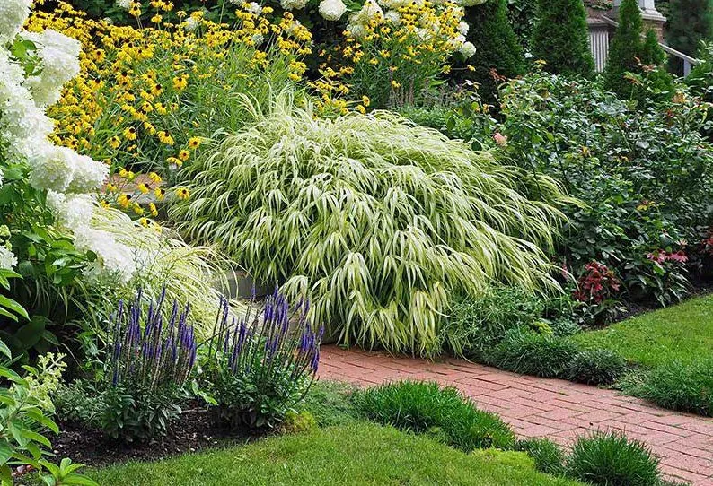 A layered perennial and ornamental grass border along a brick walk