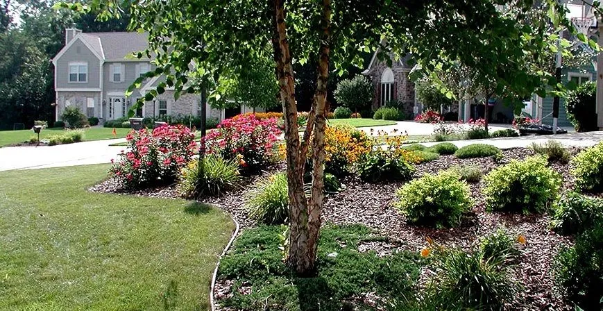 Island bed under mature trees — A large island bed carved around existing trees, planted in layers and mulched to a clean edge.