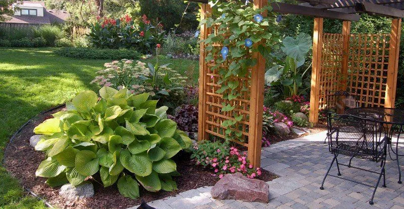 Trellis and shade garden — A trellis structure over a shade garden of hostas and companion planting.